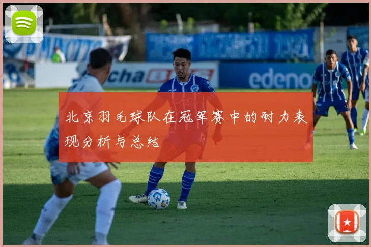 北京羽毛球队在冠军赛中的耐力表现分析与总结
